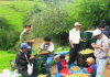 Cooperativa de productores de tomatillo