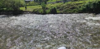 Río Llaucano todavía tiene vida acuática
