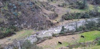Adiós Río Llaucano